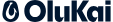olukaisummer.it.com